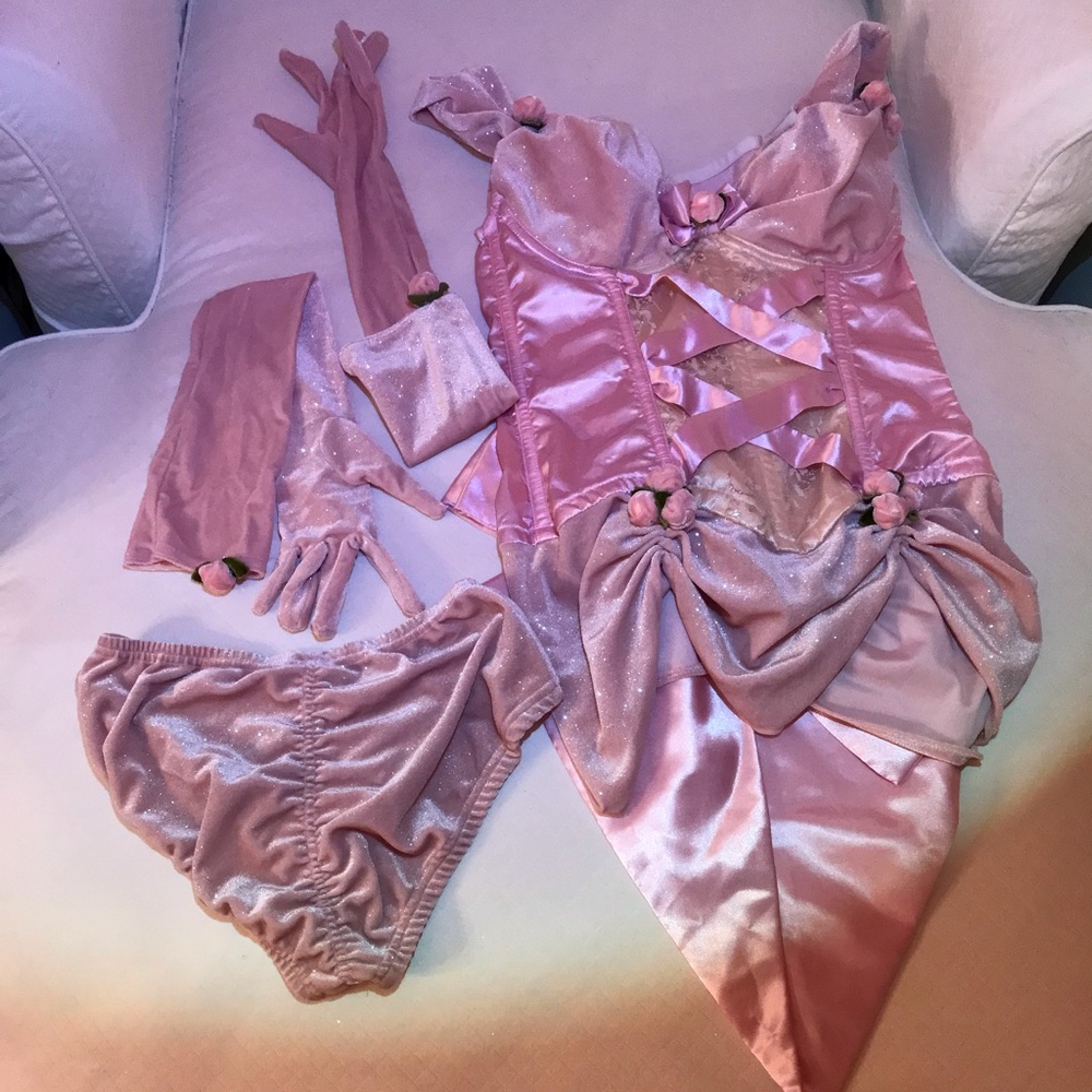 NWOT Trashy Lingerie Pink Burlesque Corset costume